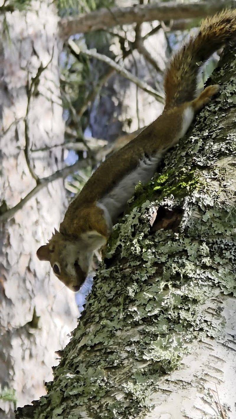 Wildlife Sightings Are Common Along The Path