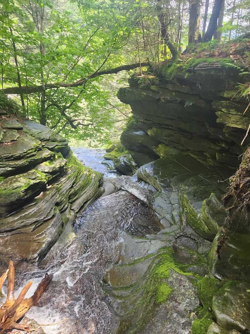 Five Peaks And Zero Mercy For Your Knees