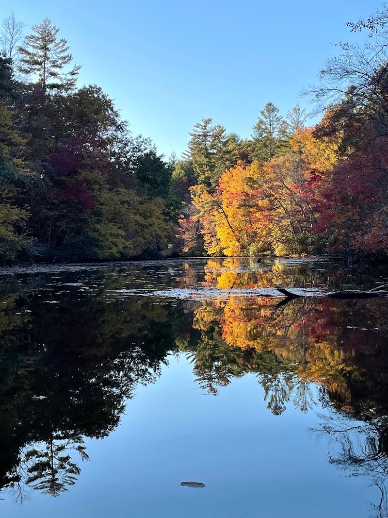 Byrd Lake Offers More Than Just A Pretty View