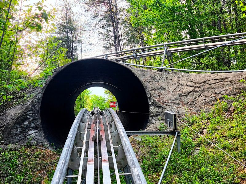 The Longest Mountain Coaster In Eastern Tennessee