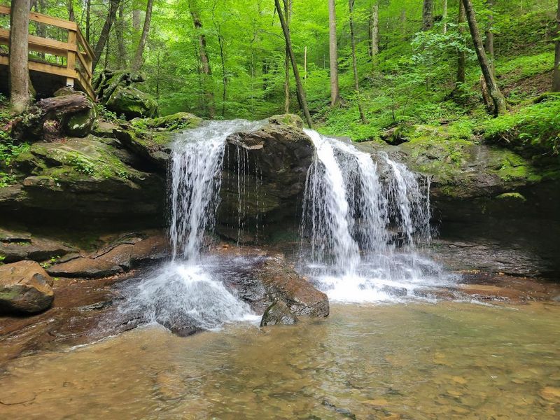 Frozen Head State Park, Flat Fork Trail Area, Wartburg