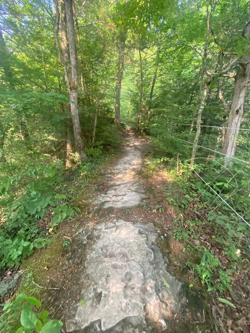 Who Should Attempt This Trail And Who Should Think Twice