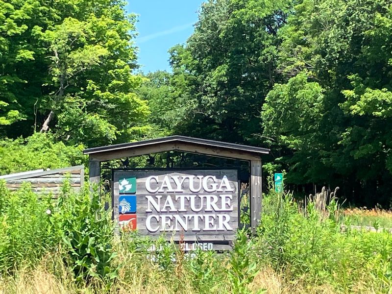 What The Six Stories Actually Look Like From The Inside