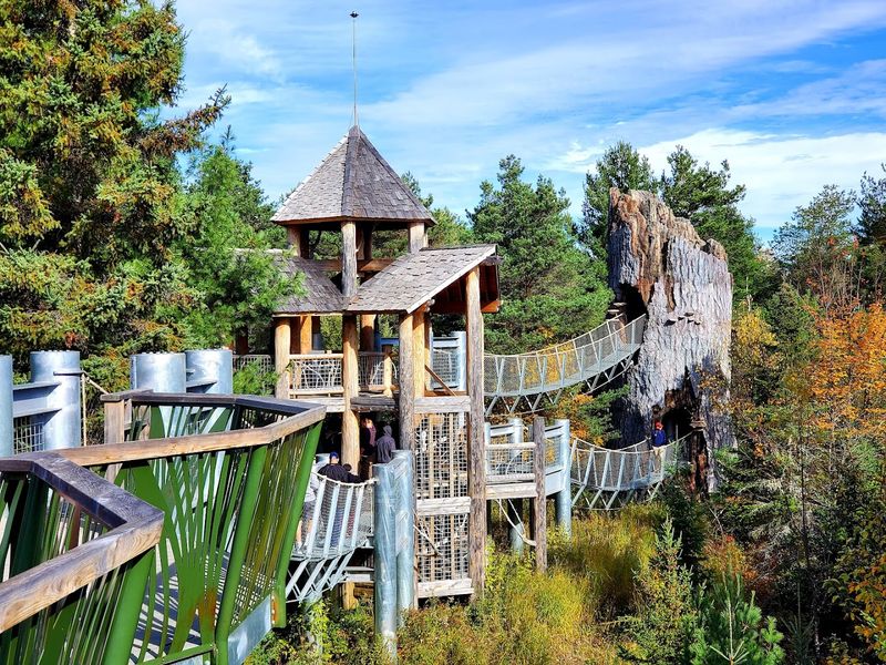 The Four-Story Twig Treehouse That Earns Every Step