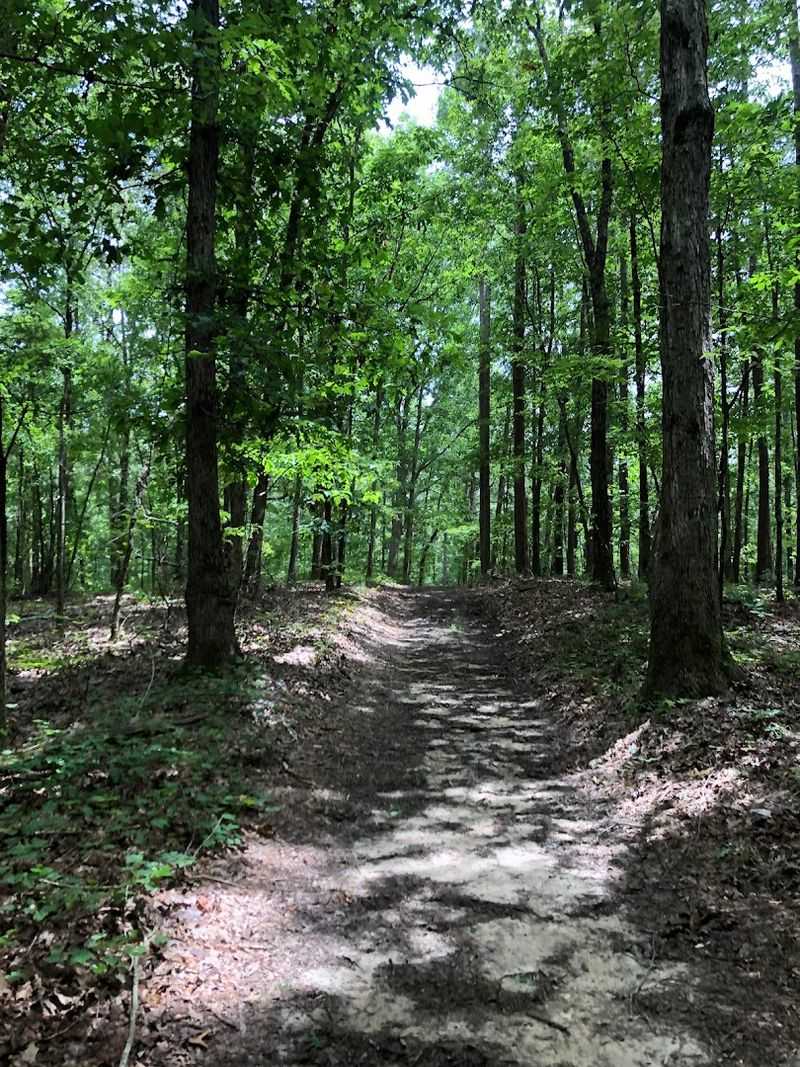 The Trails Are Well Maintained And Suited To All Skill Levels