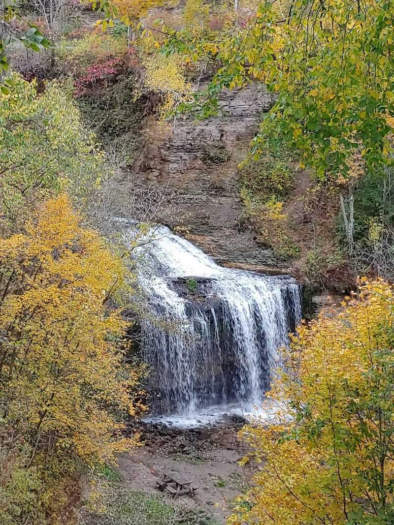 Wilke Glen Park's Quiet Forest Setting