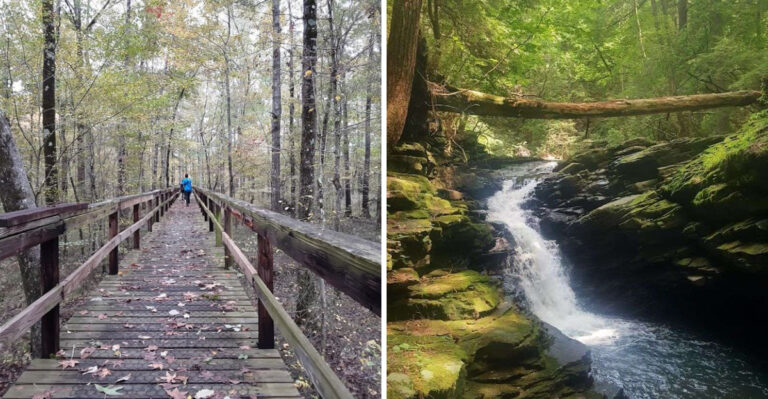 These 12 Tennessee Nature Trails And Wildflower Walks Are Ideal For An April Escape