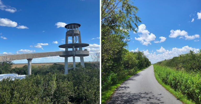 This 15-Mile Florida Bike Trail Offers Incredible Front-Row Views Of The Everglades