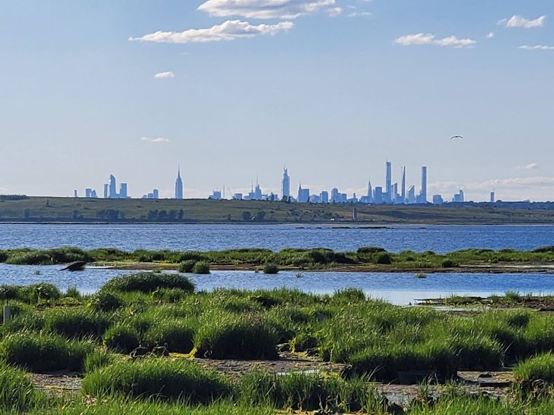 A Wildlife Sanctuary That Feels Completely Out Of This World