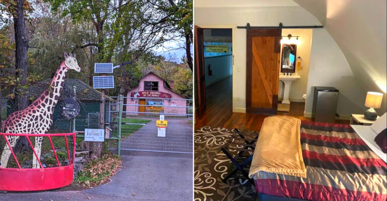 This Abandoned Zoo In New York Lets You Stay Overnight And Explore What’s Left Behind In 2026
