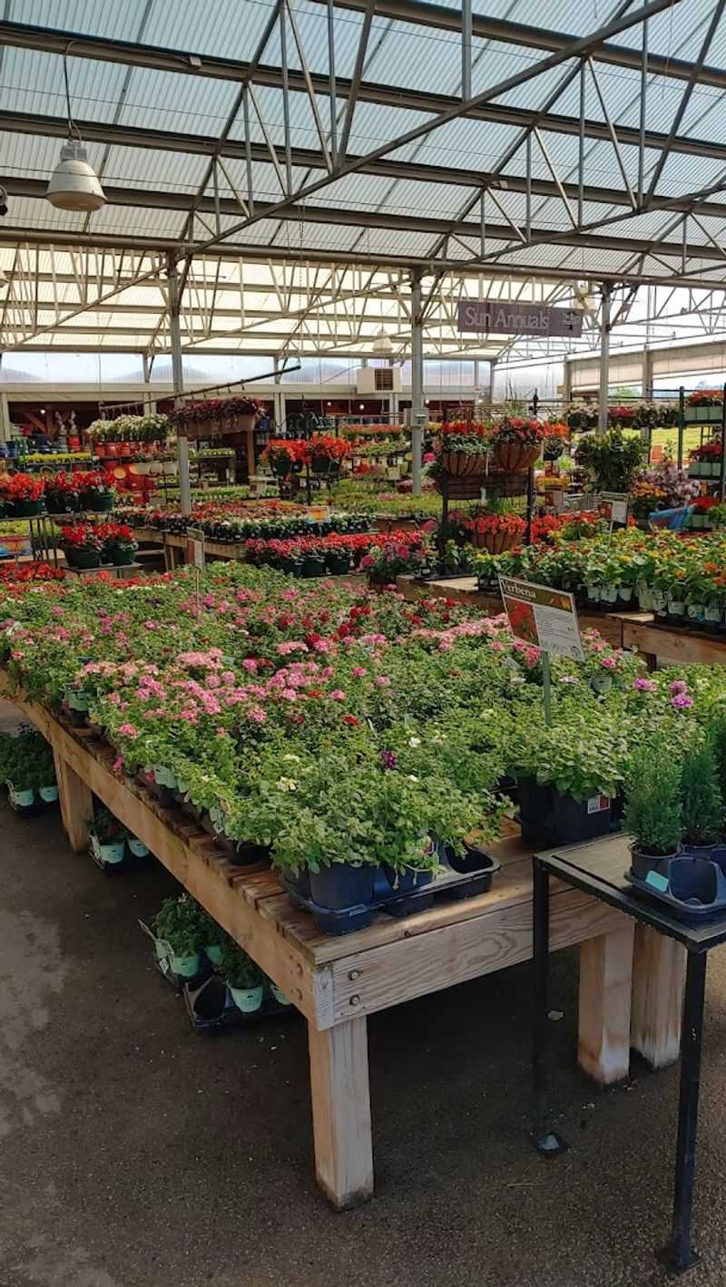 A Plant Selection That Will Leave You Speechless