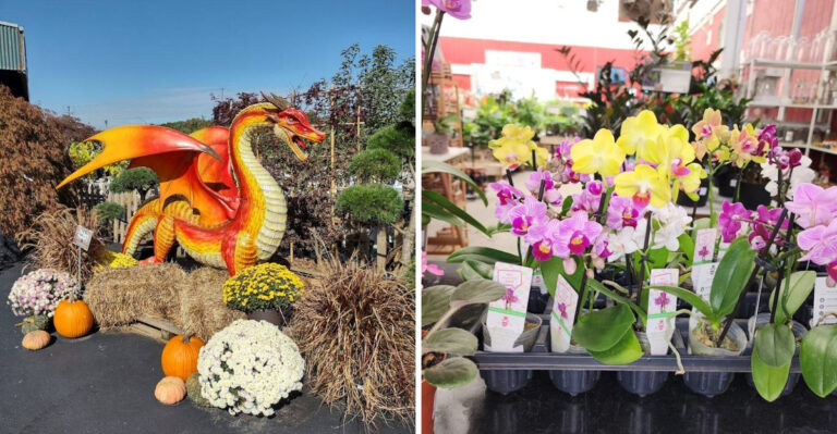 This Beautiful Plant Shop In Tennessee Will Make You Feel Like You’re In A Secret Garden