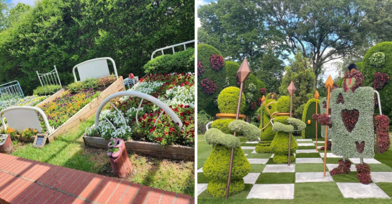 This Breathtaking Botanical Garden In Tennessee Is Perfect For Stress-Free Weekend Trips In 2026