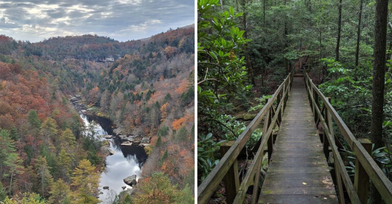 This Charming Fairy Forest In Tennessee Is Straight Out Of A Storybook