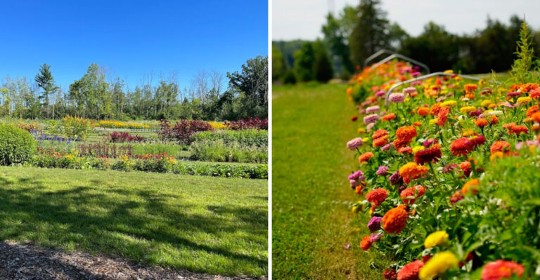 This Charming Wisconsin Flower Farm Bursts With Colour Every Spring