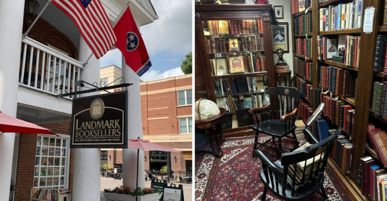 This Cozy Bookstore In Tennessee Feels Like A Dream For Book Lovers