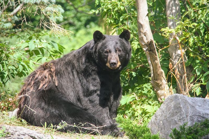 A Zoo Unlike Any Other You Have Visited