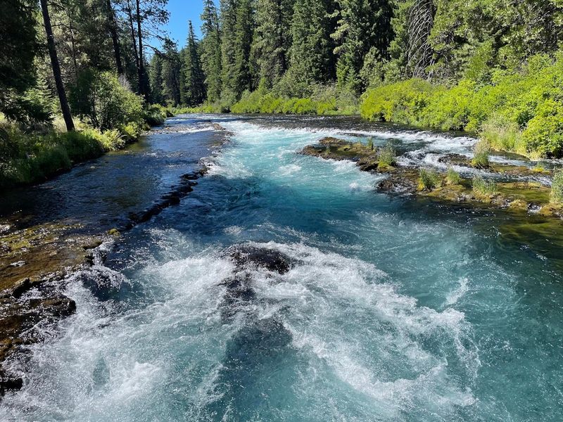A Spring-Fed River With Remarkably Clear Water