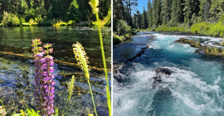 This Crystal-Clear Oregon River Feels Like A Hidden Slice Of Paradise