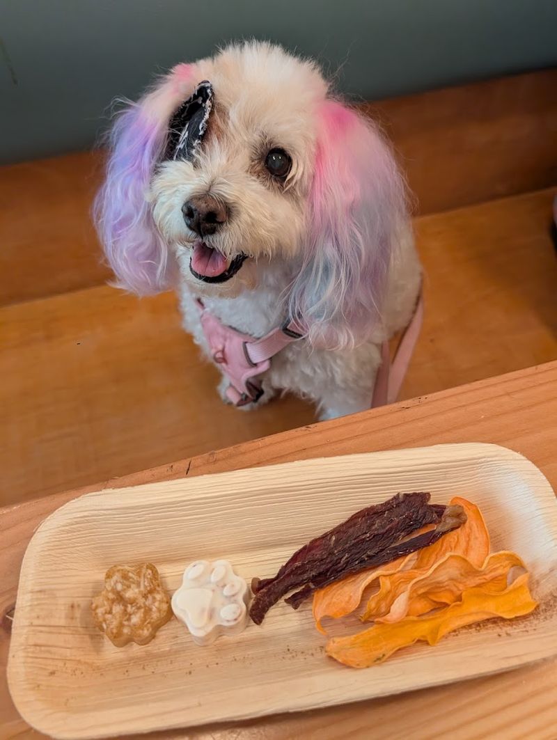 New York City's First Department Of Health-Approved Dog-Friendly Café