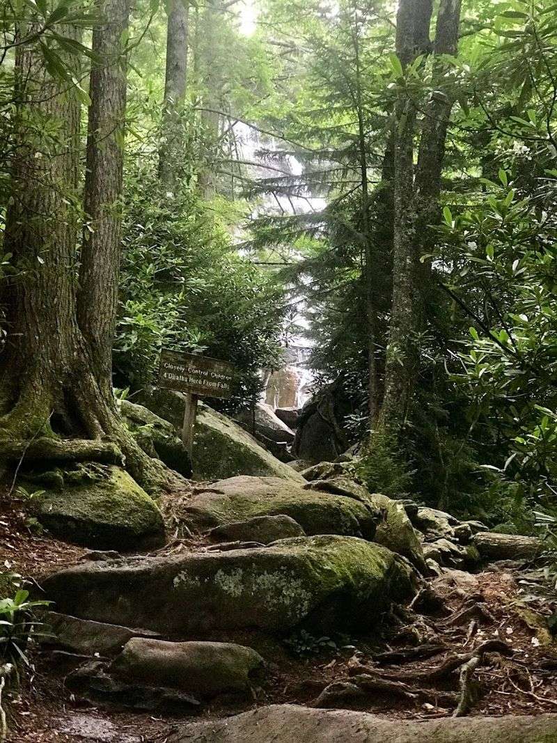 The Trail That Earns Every Step