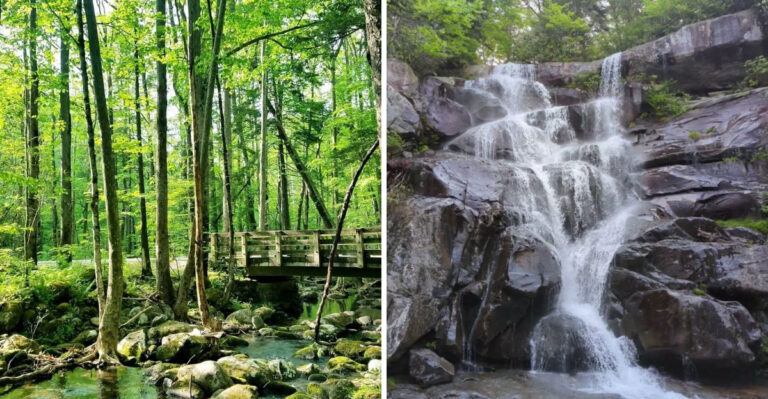 This Dreamlike Tennessee Hiking Trail Feels Like A Fairytale In Springtime