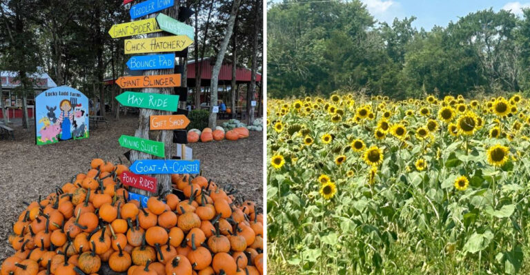 This Dreamy Farm In Tennessee Is So Stunning, It Feels Like A Claude Monet Painting