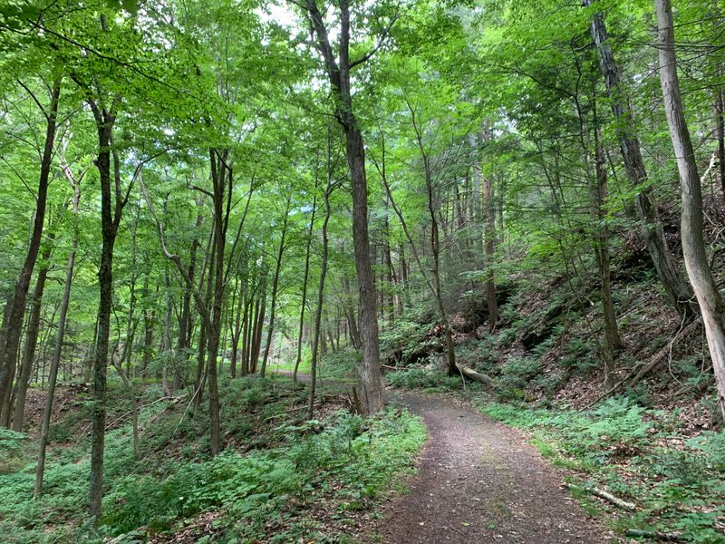 A Short Path With A Big Payoff