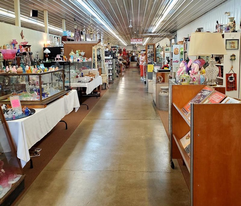 A Place That Rewards The Curious And The Patient