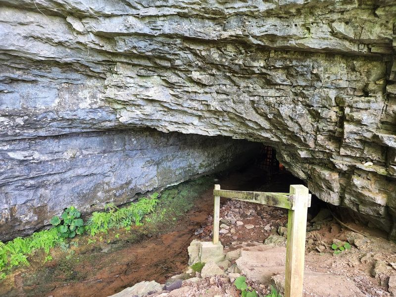 Bell Witch Cave, Adams