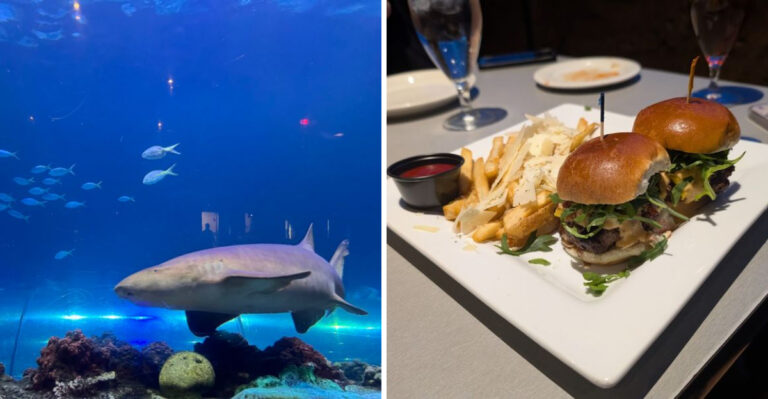 This Florida Underwater Dining Experience Will Make You Feel Like You’re In A Dream