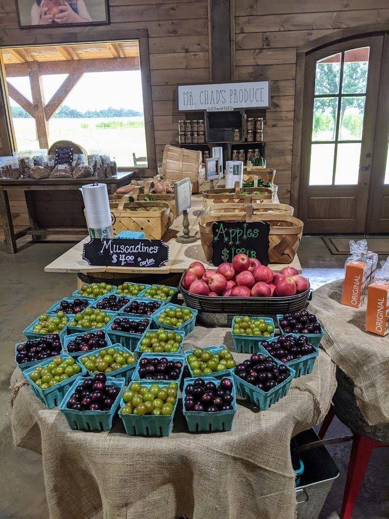 The Shed: A Hidden Gem For Peach Ice Cream Lovers