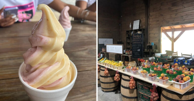 This Georgia Roadside Shed Might Serve The Best Peach Ice Cream In The State