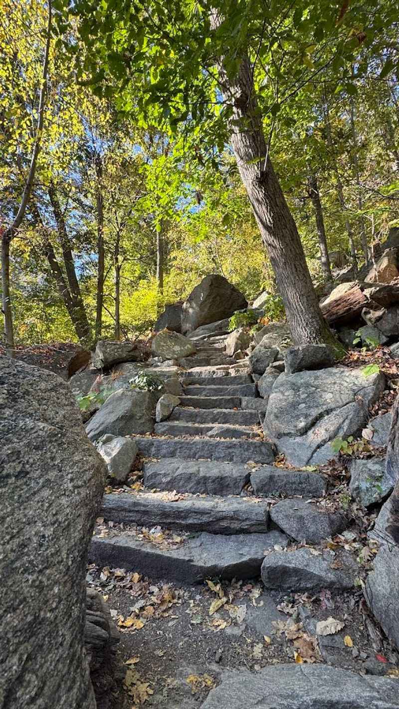 A Summit That Earns Every Step