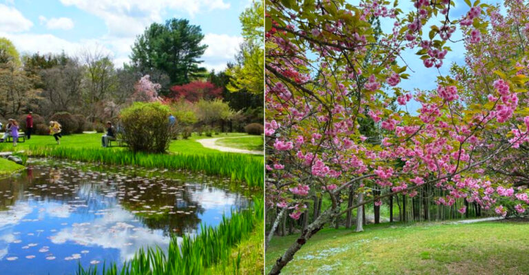 This Hidden Japanese Garden In New York Feels Like It’s From Another Magical World