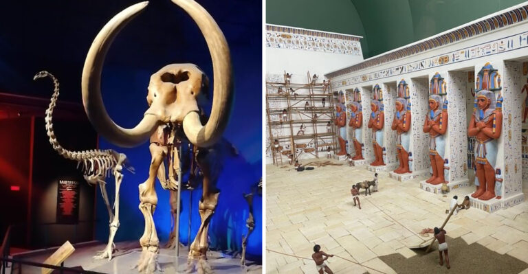 This Iconic Natural History Museum In Wisconsin Holds Some Incredible Surprises