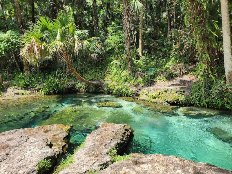 A Natural Spring That Feeds One Of Florida's Most Relaxing Lazy Rivers
