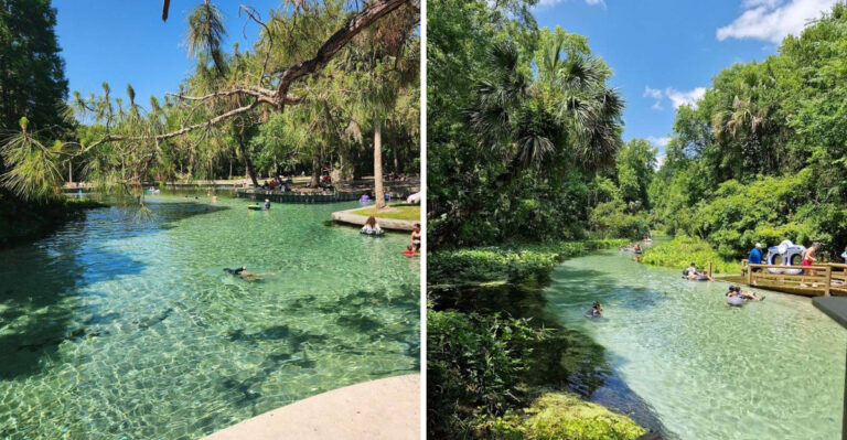 This Lazy River Tubing Adventure In Florida Screams Relaxation Like No Other