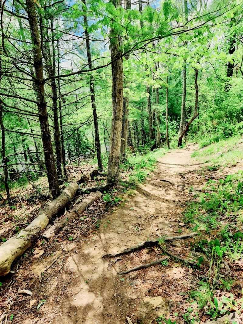 The Trails That Keep Surprising You Around Every Bend