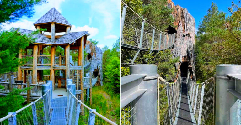 This Massive One-Of-A-Kind Nature Center In New York Lets You Explore The Forest From Above