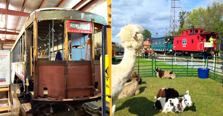 This Massive Rail Park In New York Is A Must-Visit For Train Enthusiasts This Year