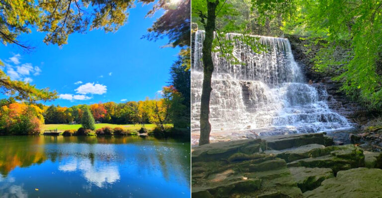 This Middle-Of-Nowhere State Park In New York Is The Perfect Place To Escape From It All