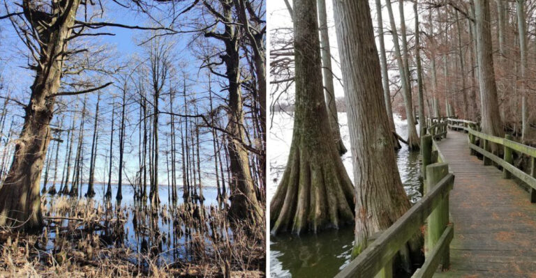 This Mystical Tennessee Lake Is So Otherworldly, You’ll Feel Like You’re In Another Dimension