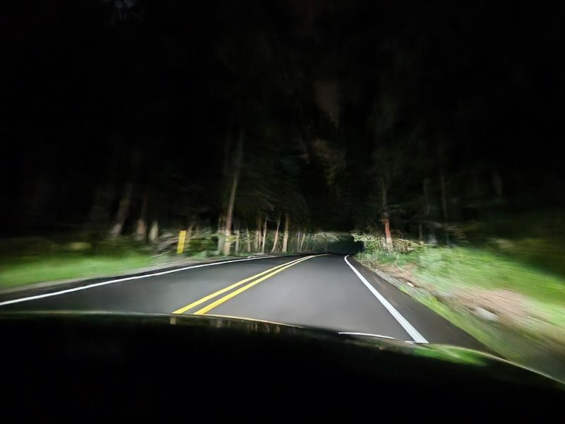 A Remote Forest Road Stretching Through Northern New Jersey