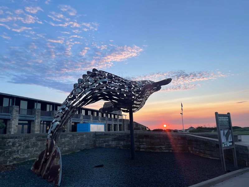 A Stretch Of Sand That Feels Like Another World