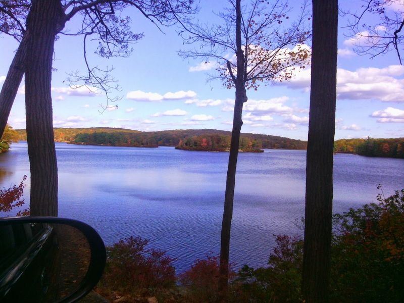 A Road That Feels Like A Secret Even Though Everyone Knows About It