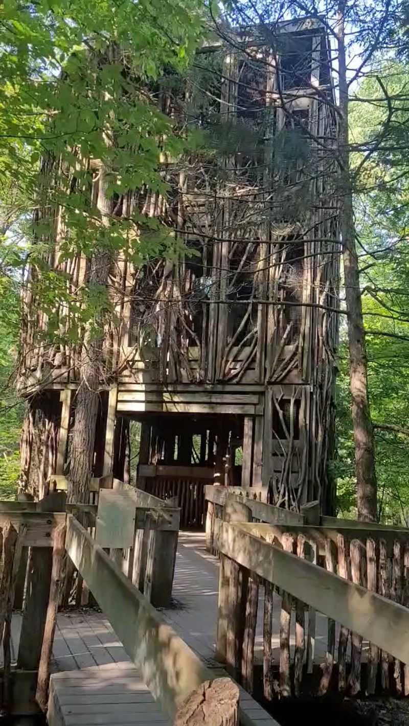 A Structure That Rewrites What A Treehouse Can Be