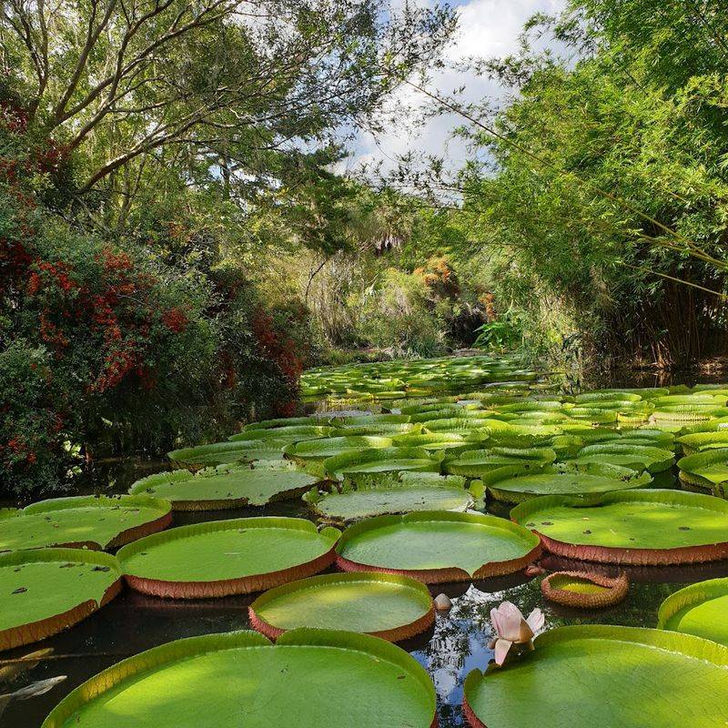 A Botanical Garden Known For Its Extraordinary Water Garden