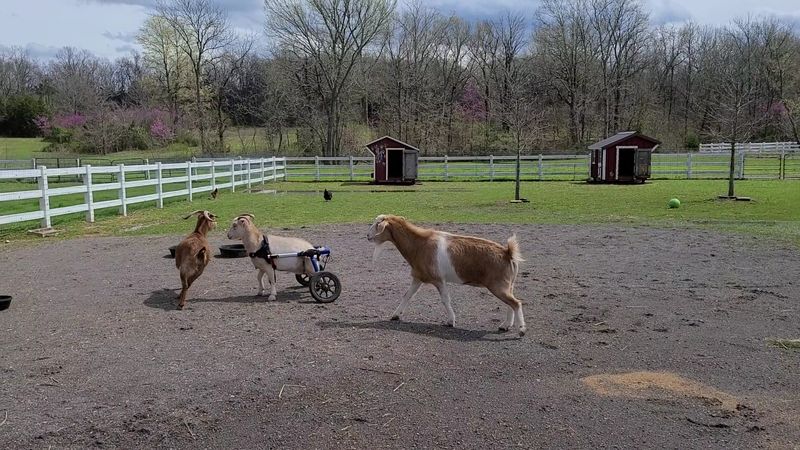 What The Place Actually Is And Why It Matters