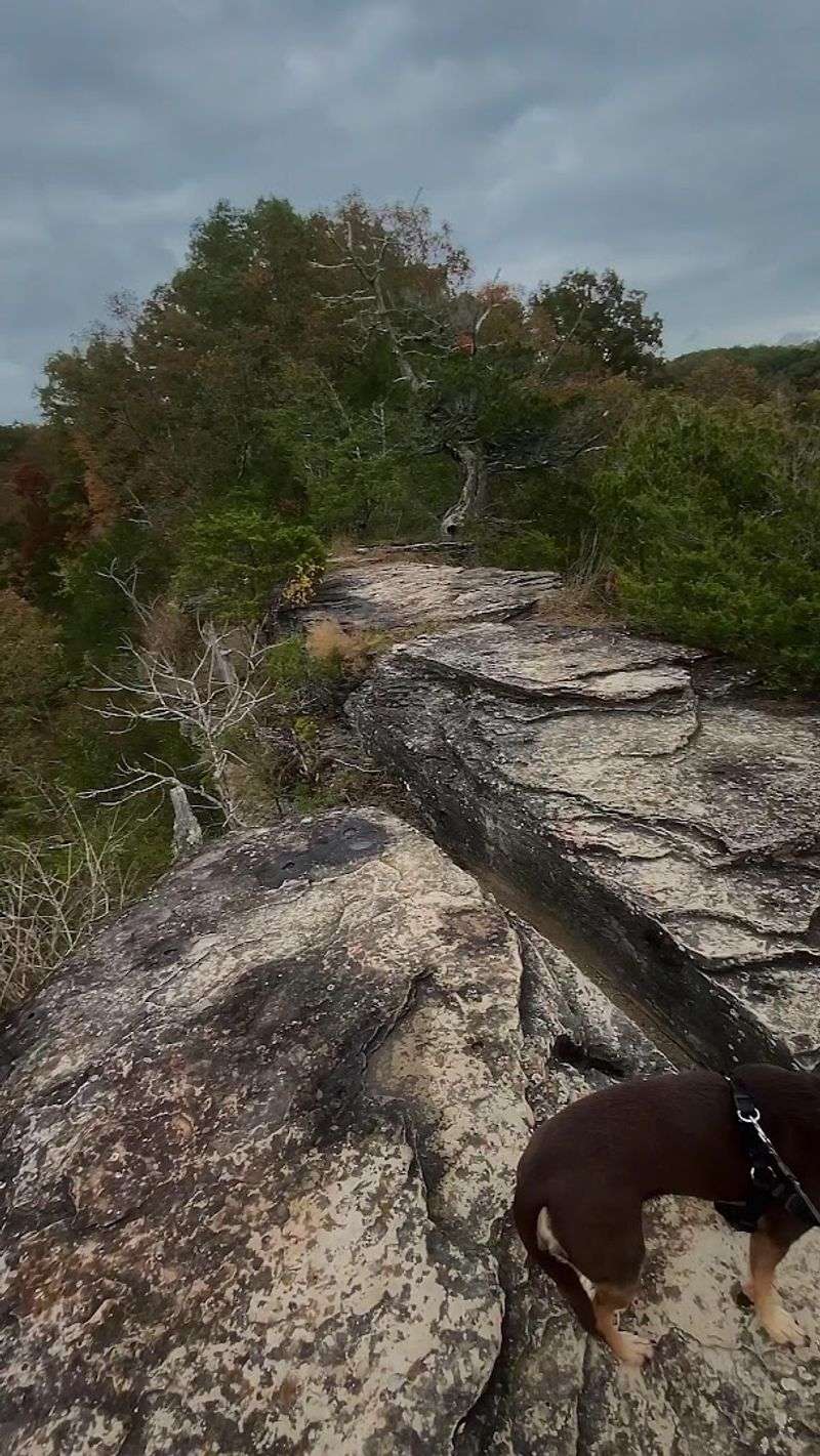 What Makes This Trail Unlike Any Other Hike In Tennessee